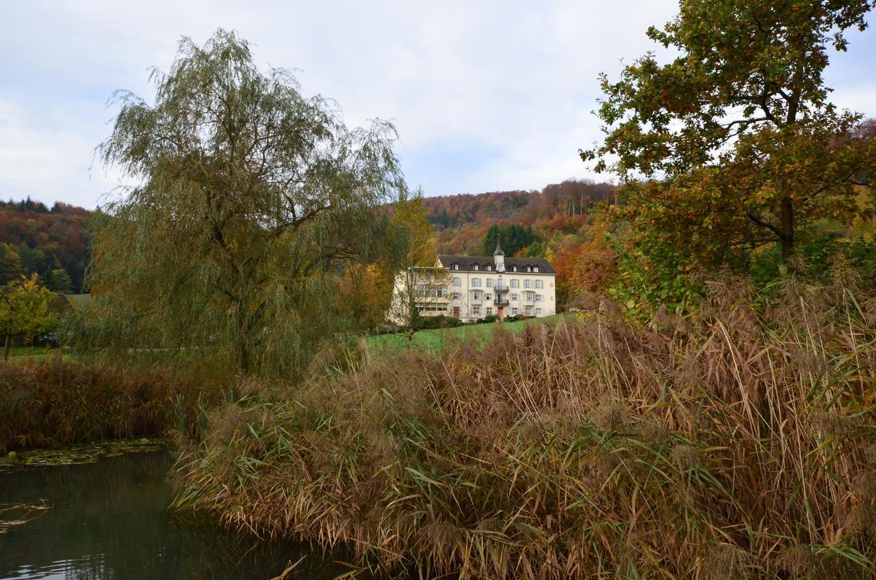 Hotel Bad Schauenburg à Liestal Extérieur photo