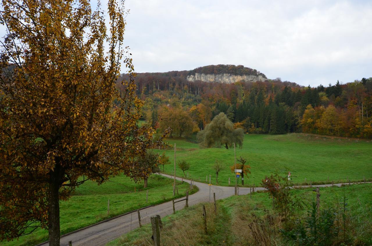 Hotel Bad Schauenburg à Liestal Extérieur photo